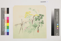 榛原聚玉堂版団扇絵 秋花と筧 / Picture on Round Fan by Haibara Shūgyokudō: Autumn Flowers and Water Spouts image