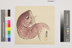 榛原聚玉堂版団扇絵 踊鯛 / Picture on Round Fan by Haibara Shūgyokudō: Yōchō (lit. Dancing Sea Bream) image