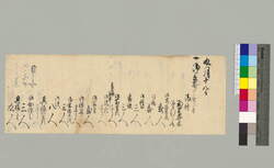 [公方様への献上品書上] / Document of Townspeople image