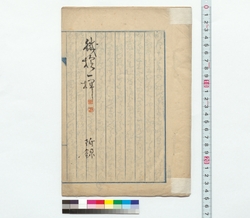 鉄槍一揮　附録 / A Thrust with an Iron Spear, Supplement (Reference Materials on Takahashi Deishu) image