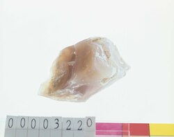 火打石 / Flint Stone image