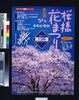 第10回桜橋花まつり image