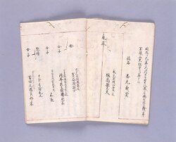 幕臣飯高家系譜 / Document of Samurai Class image