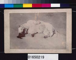川村清雄画「子犬の死」 / Painting by Kawamura Kiyo’o, “Koinu no Shi (Death of a Puppy)” image