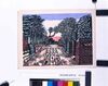 新東京百景 青山墓地 / One Hundred Views of New Tokyo : Aoyama Cemetery image