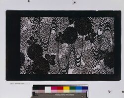 長板中形型紙 菊に流水 image