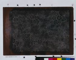 長板中形型紙 なでしこ(小紋) image