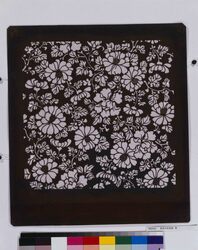 長板中形型紙 菊 image