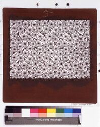 長板中形型紙 菊(地白) image