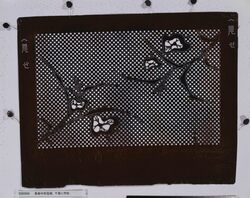 長板中形型紙 千鳥に市松 image