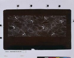 長板中形型紙 菊に蝶(小紋) image