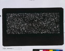 長板中形型紙 竹 image