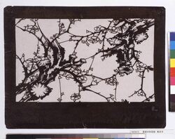 長板中形型紙 梅古木 image