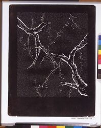 長板中形型紙 古梅にたたき image