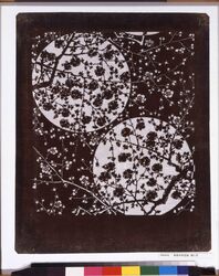 長板中形型紙 梅に月 image
