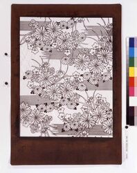 長板中形型紙 地白 菊花 image