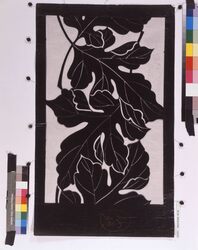 長板中形型紙 菊の葉 image