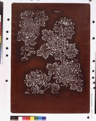 長板中形型紙 菊(大判 追掛) image