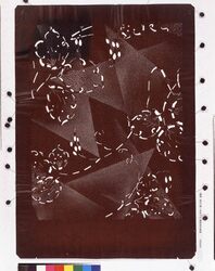 長板中形型紙 たたきの一葉(大判 追掛) image