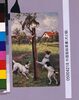 外国製絵葉書(犬と猫)/Foreign-made Postcard: Dog and Cat image