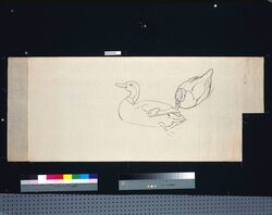 下絵 二羽の鴨 / Sketch, Two Ducks image