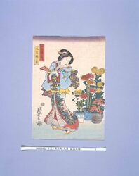 十二ヶ月の内 九月 縁日の菊 / Twelve Months: September, Chrysanthemums at a Fair image