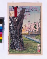 武蔵百景之内 小金井さくら / One Hundred Views of Musashi : Cherry Blossoms at Koganei image