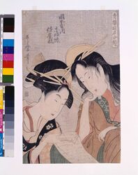 青楼遊君合鏡 岡本屋内志那照・佐屋形 / A Mirror of Paired Courtesans : Shinateru and Sayagata of Okamoto-ya image