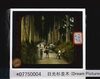 日光杉並木 /Nikko Cedar Avenue (Dream Pictures Japan) image
