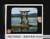 宮島の鳥居 /Torii at Miyajima (Dream Pictures Japan) image