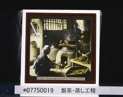 製茶・蒸し工程 / Producing Tea: Steaming image