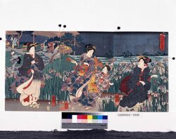 堀切名花 江戸の花菖蒲 / Horikiri's Famous Flowers : Iris Flowers in Edo image