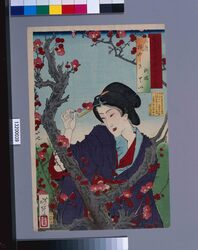 東京自慢十二ヶ月 二月 梅やしき / The Pride of Tokyo's Twelve Months : February, Plum Estate image
