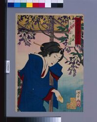 東京自慢十二ヶ月 四月 亀戸の藤 / The Pride of Tokyo's Twelve Months : April, Wisteria at Kameido image