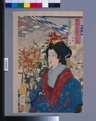 東京自慢十二ヶ月 九月 千駄木の菊 / The Pride of Tokyo's Twelve Months : September, Chrysanthemums at Sendagi image