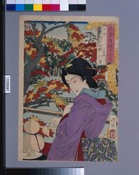 東京自慢十二ヶ月 十月 滝の川の紅葉 / The Pride of Tokyo's Twelve Months : October, Autumn Foliage at the Takinogawa River image