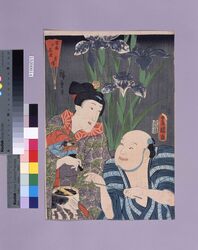 当盛十花撰　菖蒲 / The Selection of Ten Flowers of the Present Day : Iris image