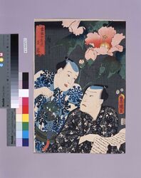 当盛十花撰 芙蓉 / The Selection of Ten Flowers of the Present Day : Cotton Rose image
