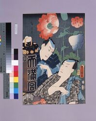 当盛十花撰 芥子 / The Selection of Ten Flowers of the Present Day : Poppy image