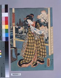 五衣色染分 黄 / Five Colors of Dyed Silk : Yellow image