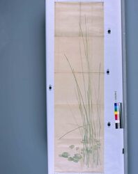 粉本 水草 / Waterweed (Shibata Zeshin's Sketch) image