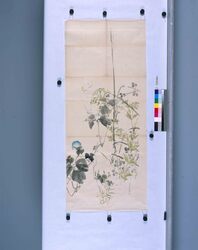 粉本　夏草花 / Summer Flowering Plants (Shibata Zeshin's Sketch) image