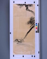 粉本　松下亀 / A Turtle under a Pine Tree (Shibata Zeshin's Sketch) image