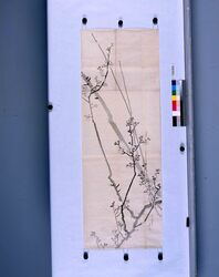粉本　梅花 / Japanese Plum Flowers (Shibata Zeshin's Sketch) image