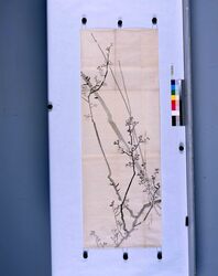 粉本 梅花 / Japanese Plum Flowers (Shibata Zeshin's Sketch) image