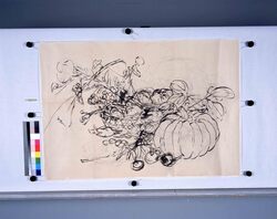粉本　野菜 / Vegetables (Shibata Zeshin's Sketch) image
