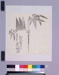 墨版 竹(新富丁武田屋) / Black Print: Bamboo (Shintomicho Takedaya, Shibata Zeshin's Block Print, Black Print, Other Prints) image