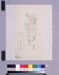 墨版　熨斗（玉垣額之助） / Black Print: Noshi (Tamagaki Gakunosuke, Shibata Zeshin's  Block Print, Black Print, Other Prints) image