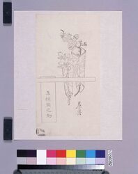 墨版 熨斗(玉垣額之助) / Black Print: Noshi (Tamagaki Gakunosuke, Shibata Zeshin's Block Print, Black Print, Other Prints) image