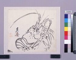 墨版　伊勢海老 / Black Print: A Spiny Lobster (Shibata Zeshin's  Block Print, Black Print, Other Prints) image